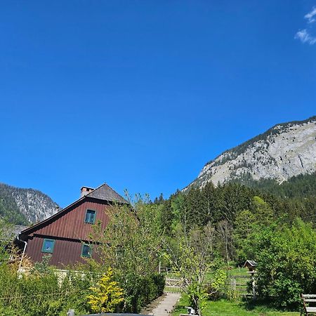 Premium Apartment Mit Privatem Whirlpool, Sauna, Garten Sankt Martin am Grimming エクステリア 写真
