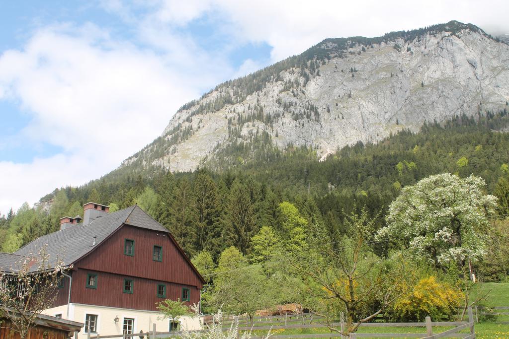 Premium Apartment Mit Privatem Whirlpool, Sauna, Garten Sankt Martin am Grimming エクステリア 写真